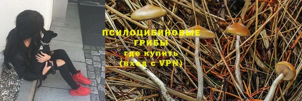 герыч Карпинск