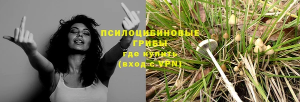 дурь Карталы