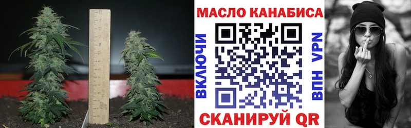 ТГК жижа  Купить где  Кондрово 