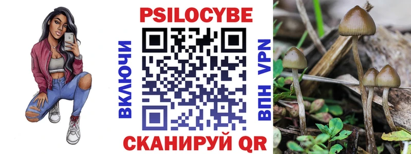 Псилоцибиновые грибы Magic Shrooms Кондрово