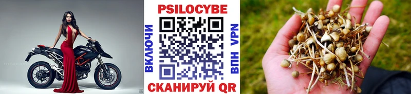 Купить  Кондрово  Галлюциногенные грибы GOLDEN TEACHER 
