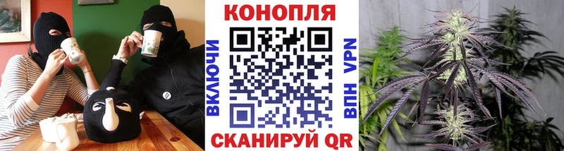 Купить где  Кондрово  Конопля AK-47 